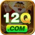 12q Plus APK v3.9.6